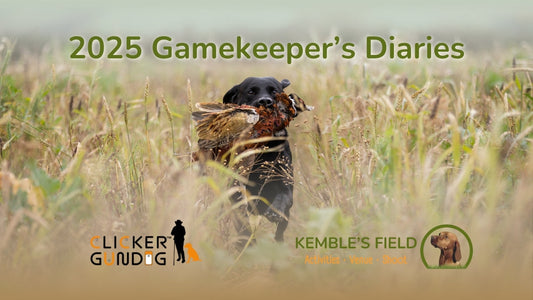 Behind the Scenes with Gamekeeper Chris: What gundog handlers need to know about rearing birds