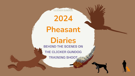 Behind the Scenes with Gamekeeper Chris: How We Rear Pheasants for Clicker Gundog Training Shoots