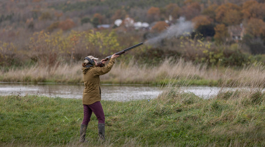 How to introduce your gundog to the sound of shot
