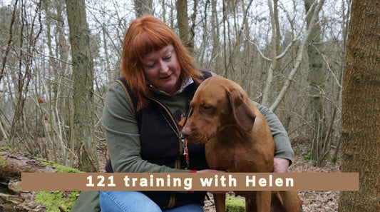 In person 121 gundog training with Helen Phillips