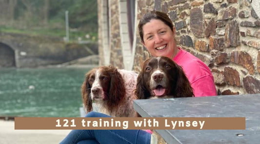 In person 121 gundog training with Lynsey Moss