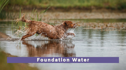 Foundation Water Workshops