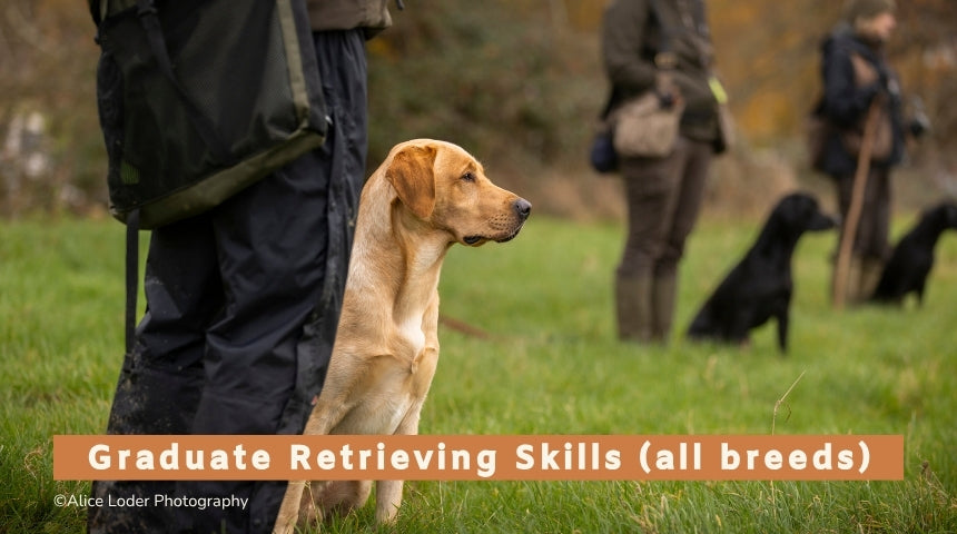 Graduate Retrieving Skills (all breeds) Monthly Group