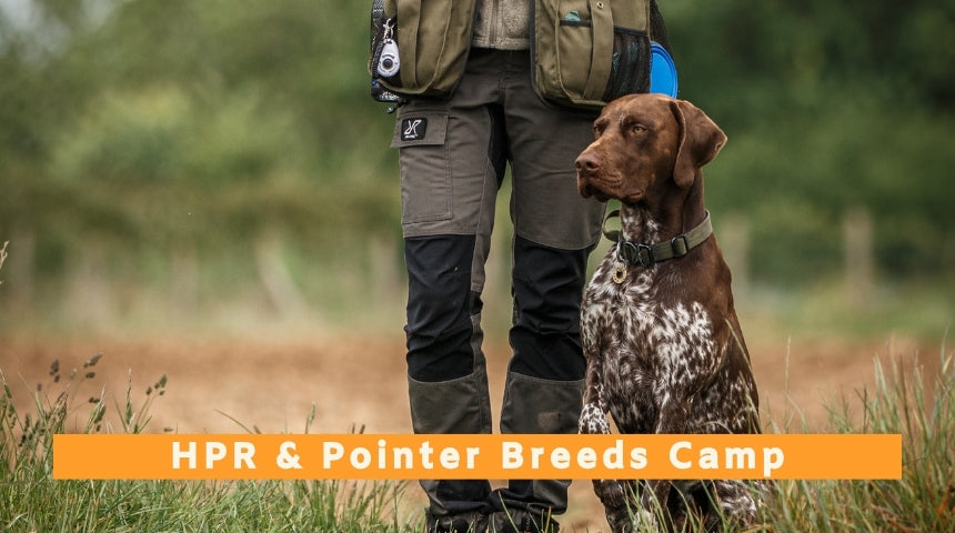 HPR Breeds Only Camp - 17th to 19th August 2026