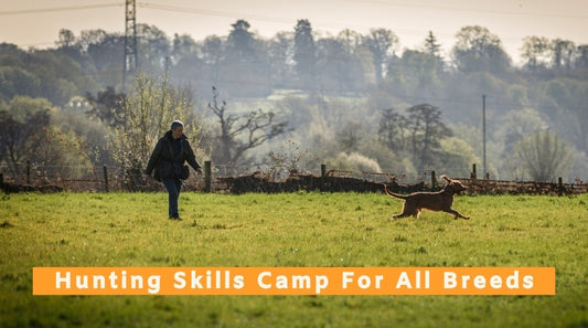 Hunting Skills Camp For All Breeds - 16th to 18th September 2026