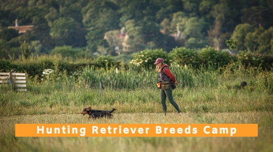 Hunting Retriever Breeds Only Camp - 24th to 26th August 2026
