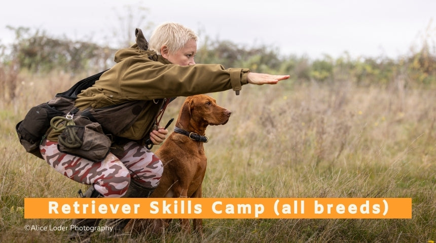 Retriever Skills Camp (All Breeds) - 7th to 11th July 2025