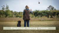Steadiness Evening Classes: Indoor Winter Training for Gundogs (All breeds)