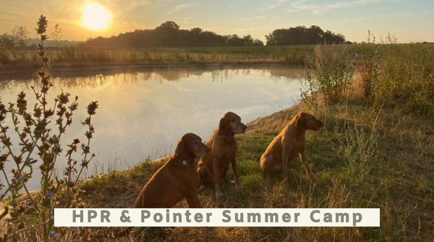 HPR Breeds Only Camp - 3rd to 5th August 2026