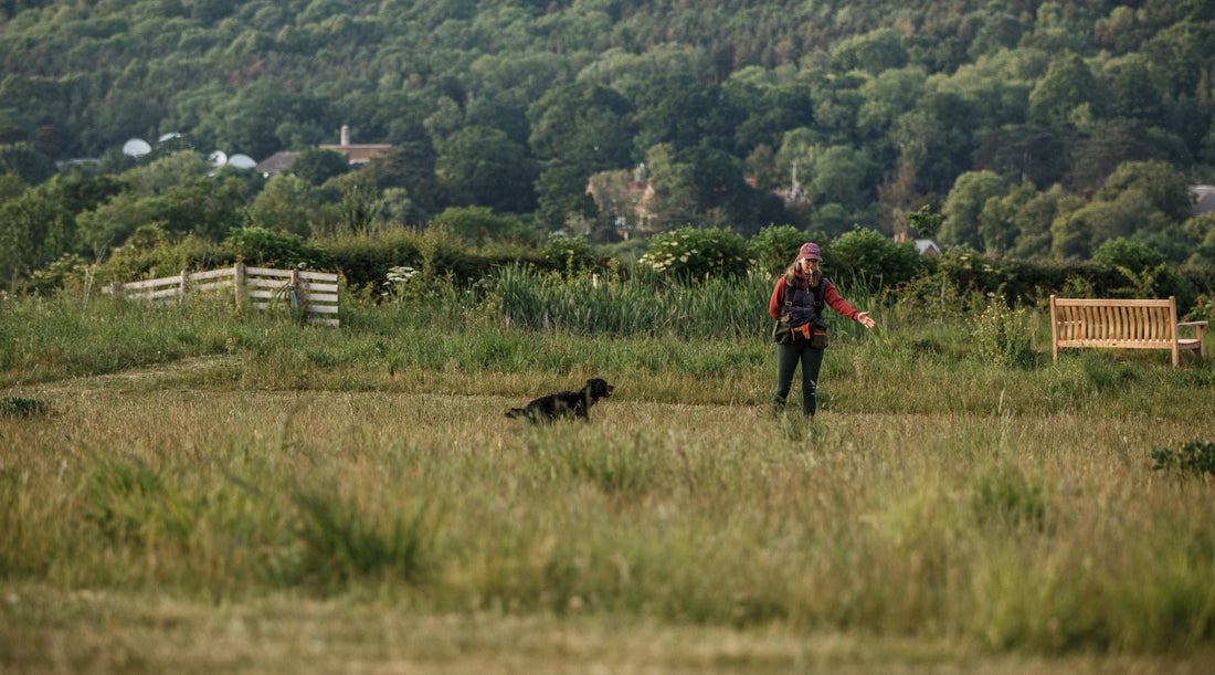 How to get your gundog to hunt with you