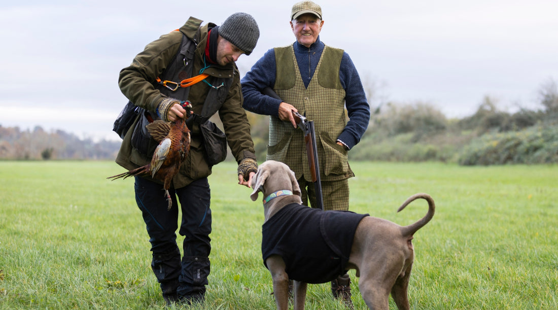 Gundog’s first shoot: are you ready to work in the field?