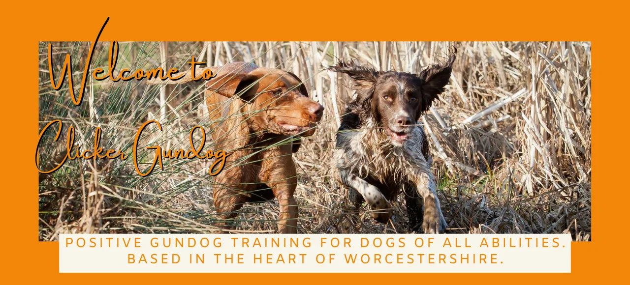 Trained gun 2024 dogs for sale