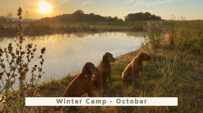 Winter Camp One All Breeds - 21st to 25th October 2024