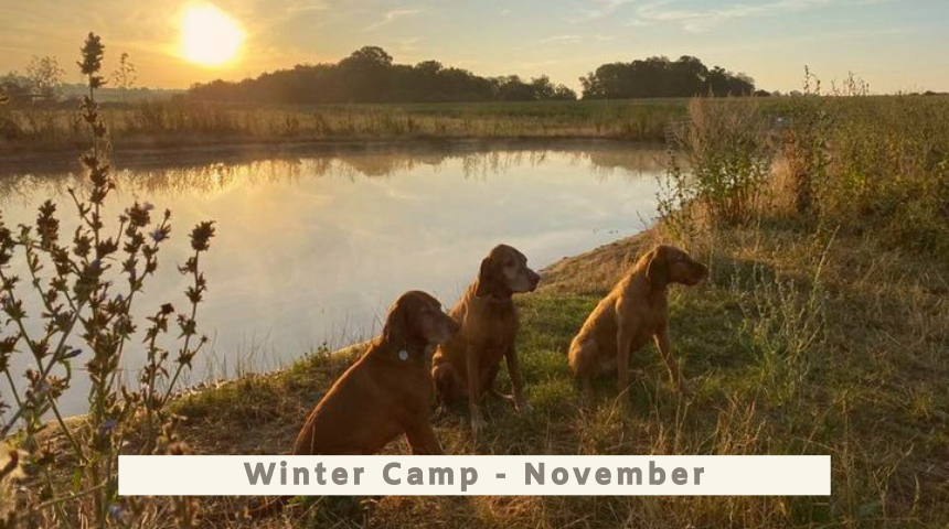Winter Camp Two All Breeds - 11th to 15th November 2024