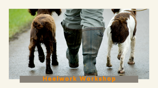 Heelwork Workshops with Lynsey