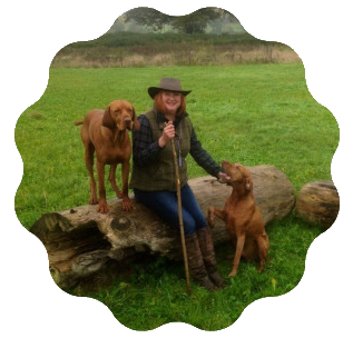 Helen phillips dog hot sale trainer