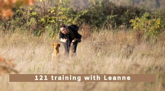 In person 121 gundog training with Leanne Taylor