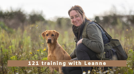 In person 121 gundog training with Leanne Taylor