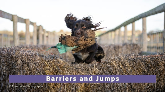 Barriers and Jumps Workshop (All Breeds)