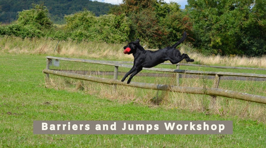 Barriers and Jumps Workshops with Lynsey