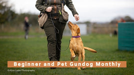 Beginner and Pet Gundog Monthly (All breeds over 8 months old)