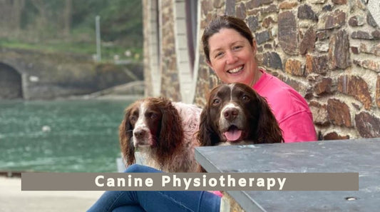 Canine Physiotherapy with Lynsey