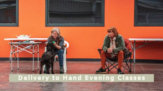Delivery to Hand Evening Classes: Indoor Winter Training for Gundogs (All breeds)