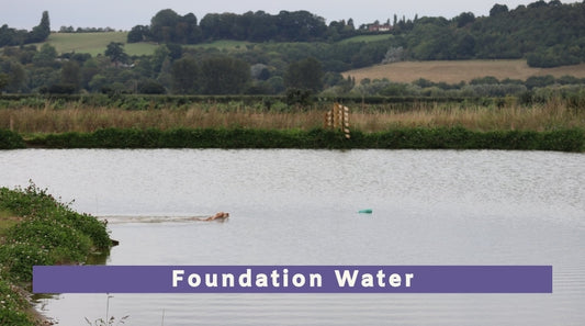 Foundation Water Workshops