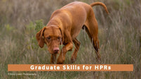 Graduate Skills for HPRs Monthly Group