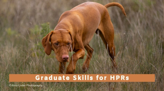Graduate Skills for HPRs Monthly Group