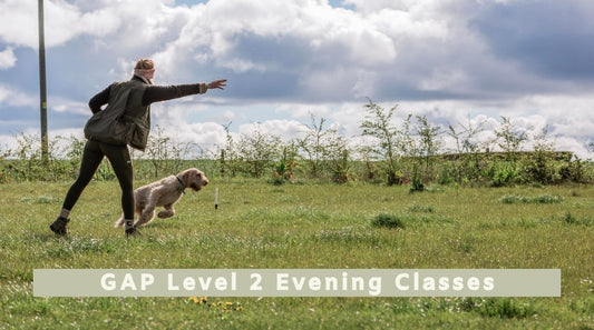 Foundation GAP Level 2 Evening Classes (All breeds)