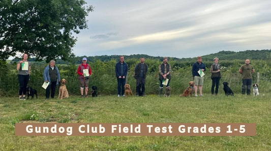 Gundog Club Field Test Grades 1 to 5 (All Breeds)
