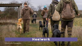 Heelwork Workshop (All breeds)