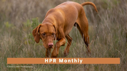 HPR Monthly Group