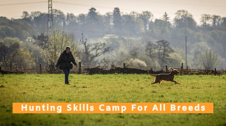 Hunting Skills Camp For All Breeds - 16th to 18th September 2026