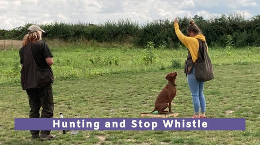 Hunting and Stop Whistle Workshop (All breeds)