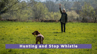 Hunting and Stop Whistle Workshop