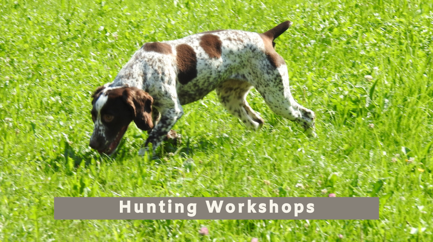 Hunting Workshops in February 2024