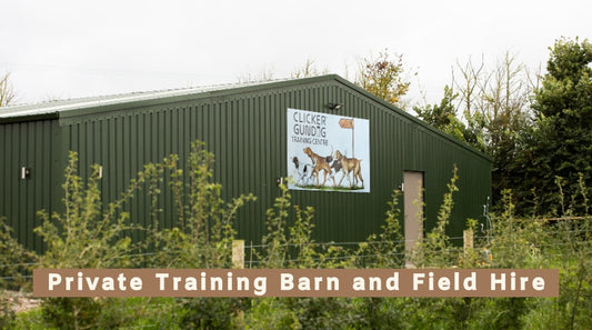 Dog Training Barn and Field Hire in Charlton