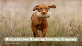 Progressive Gundog Evening Classes All Breeds