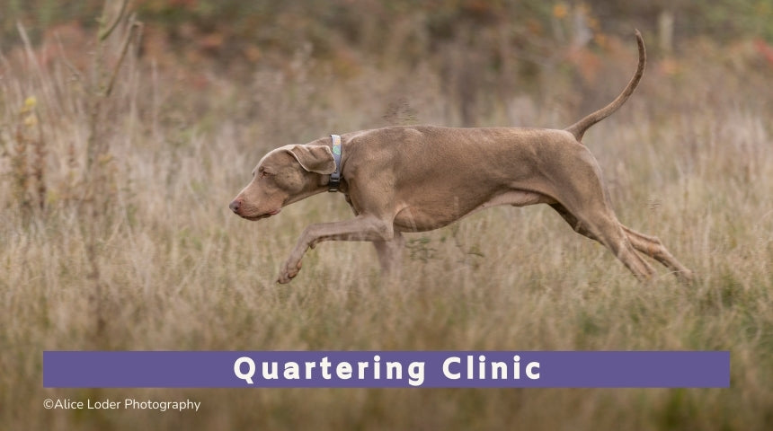 Quartering Clinic