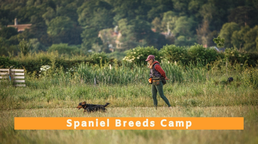 Spaniel Breeds Camp - 4th to 6th August 2027
