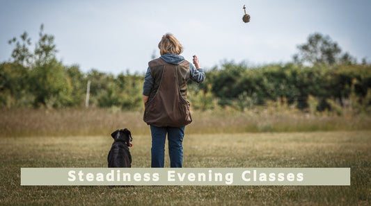 Steadiness Evening Classes: Indoor Winter Training for Gundogs (All breeds)