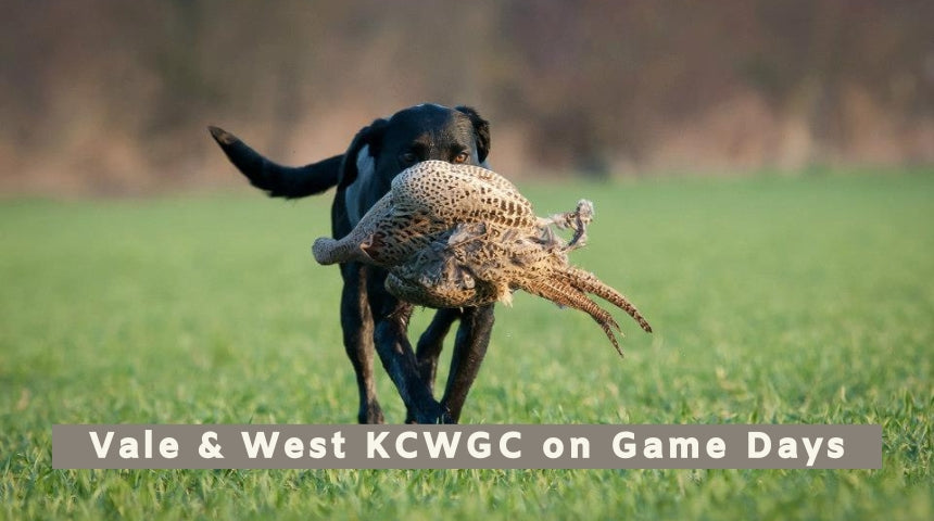 Vale & West Kennel Club Working Gundog Certificate on Game