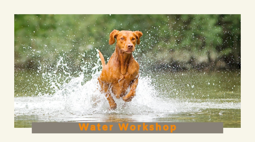 Foundation Water Workshops with Lynsey