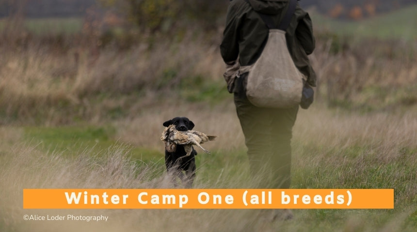 Winter Live Game Training Camp One (All Breeds) - 27th to 31st October 2025