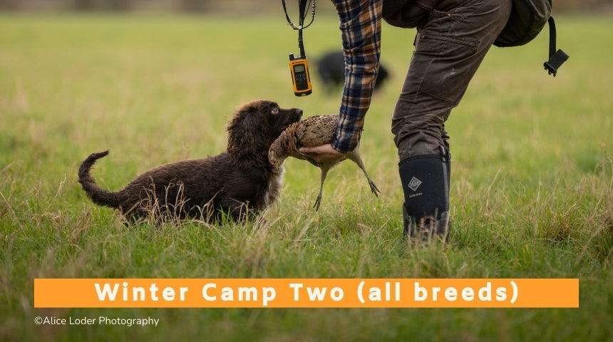 Winter Live Game Training Camp Two (All Breeds) - 24th to 28th November 2025