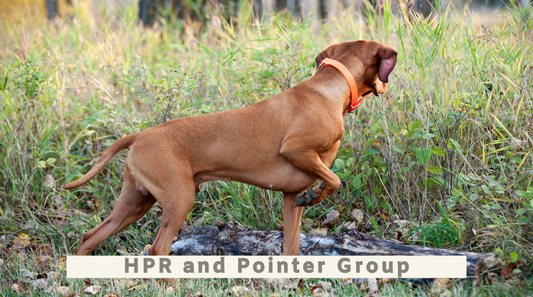HPR Group